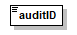 Audit_p1.png